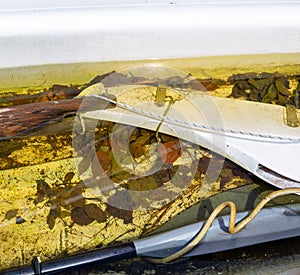 Close view of a small sailboat filled with rainwater