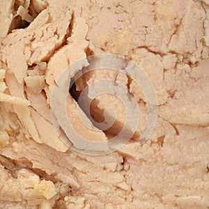 Close view of solid white albacore tuna