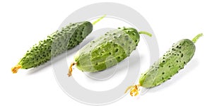 Close view of cucumbers