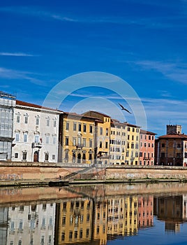 Close view to the centre of Pisa, a seagull flying above the river photo