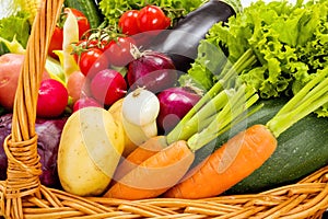 Close view of various summer vegetables