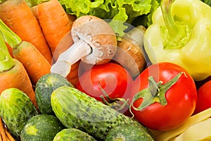 Close view of various summer vegetables