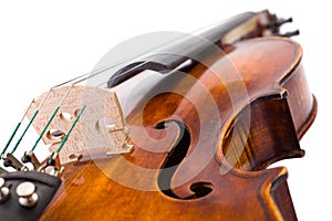 Close view of a violin strings and bout