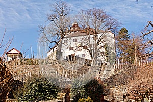Close view of Werdenberg Castle and wineyards