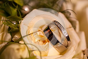 Close view on white rose flowers with wedding rings in warm colors and a romantic setting