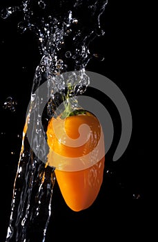 Close Yellow Pepper Splash