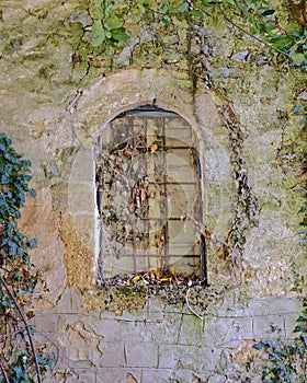 Closed arched window on stone wall and ivy foliage