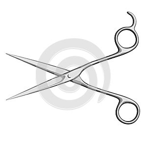 Pair of Scissors Vector Image