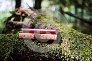 Closed books outdoor. Knowledge is power. Book in a forest. Book on a stump