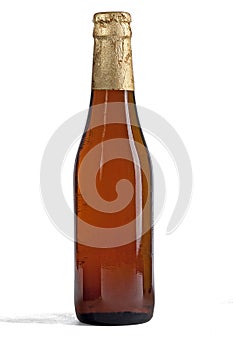 Closed bottle of beer