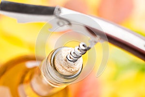 A closed bottle of white wine with corkscrew. Top view.