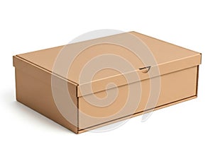 Closed brown cardboard shoe box on white background isolated on white background