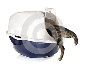 Closed cat litter box