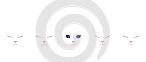 Closed eyed white cats and a opened eyed white cat