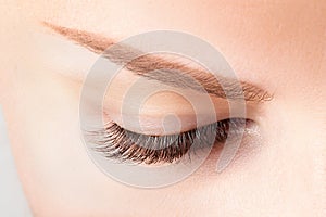 Closed female eye with long eyelashes. Classic 1D, 2D eyelash extensions and light brown eyebrow close up. Eyelash extensions, photo