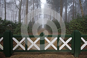 Closed gate on path in misty forest