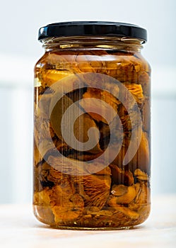 Closed glass jar with pickled lactarius deliciosus