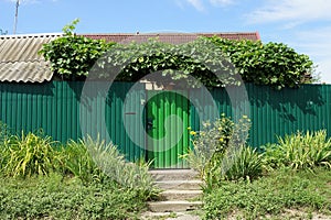Closed green metal door and iron fence wall overgrown with vegetation