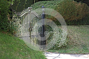 Closed iron driveway gates surrounded by shrubbery