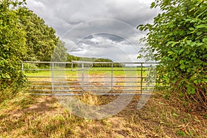 Closed iron gate on the edge of a meadow