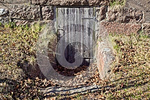 Closed old wooden cellar door.