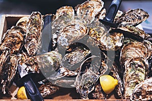 Closed oysters with lemon, fresh oyster shell, mollusks in seafood market, aphrodisiac sea restaurant, expensive fresh food, dish