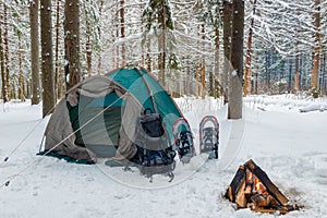 Closed tent in the snow in the winter forest and a fire