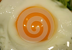 Closed up chicken egg yolk during fried on a pan