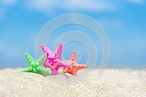 Closed up on colorful starfish,beautiful sea shells on the seashore with blue sky background. Vacation and summer conceptual.