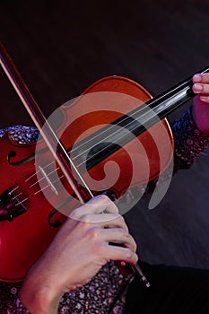 Closed-up detail of violin and musician`s hands