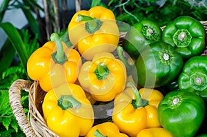Closed up fresh yellow and grain bell pepper