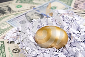 Closed up of golden egg in financial report shred paper with pile of US dollars banknotes using as lucky egg or valuable stock or
