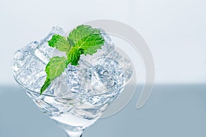 Closed up of Mint leaf on ice cube in glass