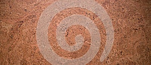 Closed up of panoramic brown cork board texture for banner background