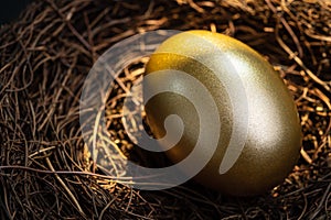 Closed up of shiny golden egg in nest with golden natural sun shine light metaphor of financial prosperity, precious return