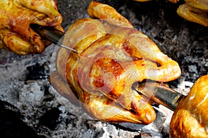 Closed up Thai style grilled chicken cooking in street food market in Bangkok