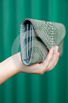 Closed up of trendy green python wallet holding by womans hand on dark green background.