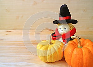Closed Up Vibrant Orange Color and Yellow Ripe Pumpkin with Adorable Lion Soft Toy in Wizard Costume on Wooden Background