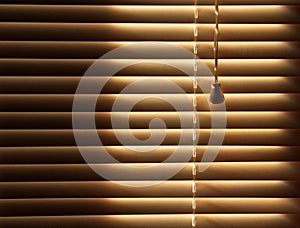 Closed venetian blinds background