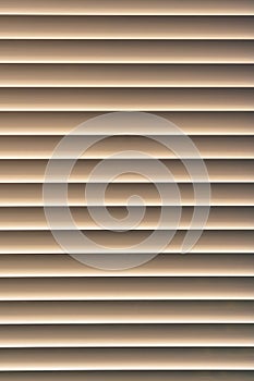 Closed window blinds illuminated by the sun, background texture