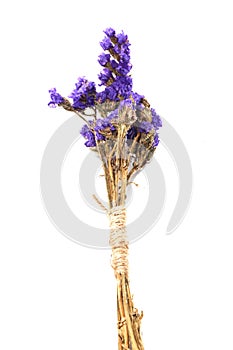 Closedup of purple statice flower background use for decoration on white background