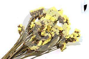 Closedup of yellow statice flower background for decoration