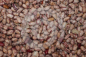 An closer look at beans that can formate a background photo