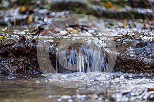 a closeup of cascade of small waterfall formed on forest creek