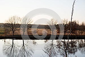 Closer view on trees at the riverbank and its water reflection in fresenburg emsland germany