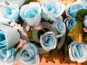 Closest bluish roses photo