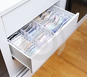 Closet drawer with fabric boxes for separate storage of bra and underwear