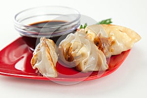 Closeuo of Fried Pot stickers