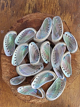 Closeup with abalone shell clean and shine ready to make jewelry.