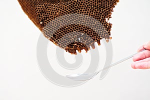 Closeup abandoned beehive with the spoon below isolated on the white background